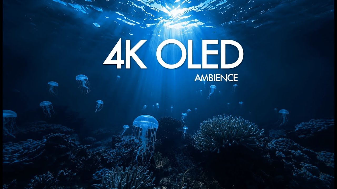 4K Deep Ocean Ambient • Music for Sleep, Focus & Relaxation | Bioluminescent OLED Visuals