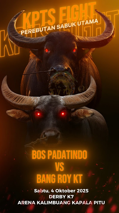 Bang Roy 🆚 Bos Padatindo, partai utama kita di K7 #kpts #tedongsilaga