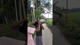 #hilightseveryonefollowerseelsfypシ゚viralvideo #hilightseveryonefollowers #highlightsシ゚ #funnyreels