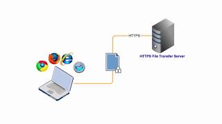 Information How to set up an HTTPS File Transfer News