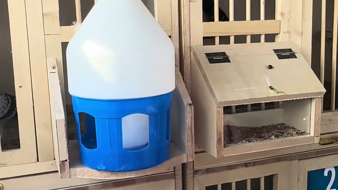 سهيل المبارك في بيت ابو ماهر تصوير لوفت الحمام