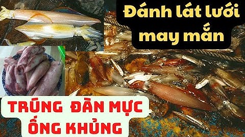 Cận cảnh đánh bắt mành chụp mực ống,mực nháy trên biển nghề mà ích người được biết - Dân vùng biển