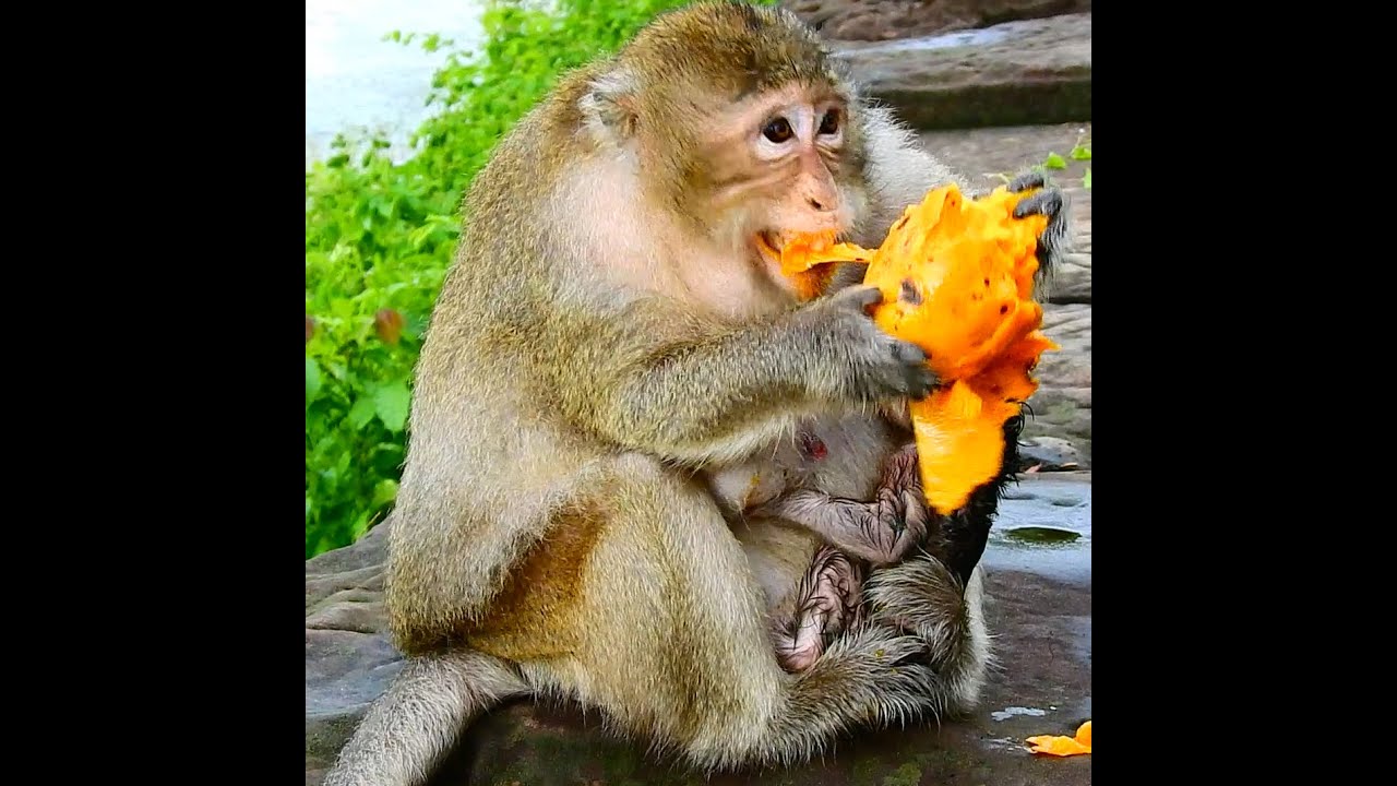 Image showcasing Can You Eat Spicy Food While Breastfeeding? - Healthline