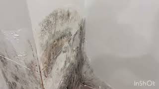 :  !