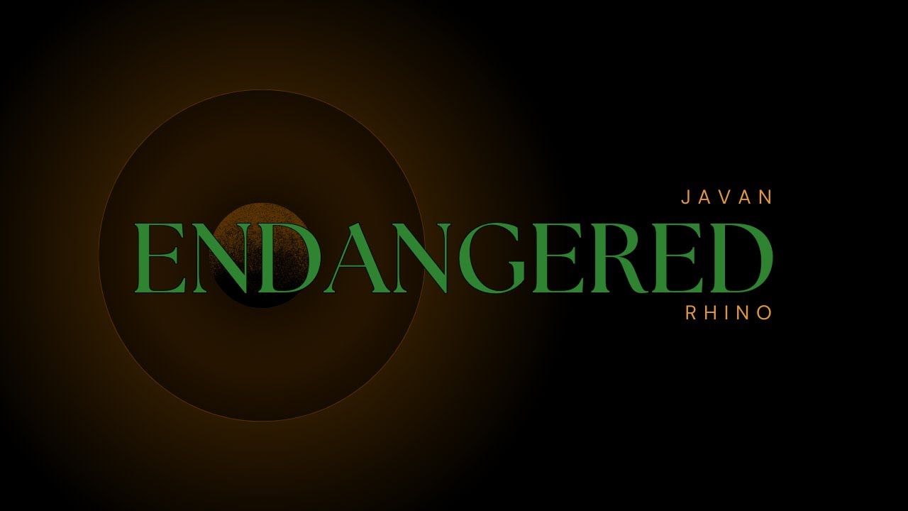 The Majestic Javan Rhino: A Glimpse into an Endangered Beauty