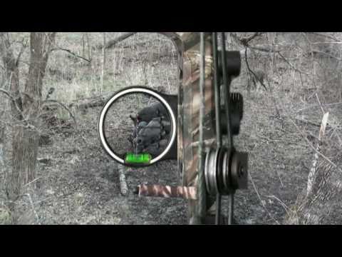 Reverse Angle Pig - Bowhunting Texas Wild Hogs