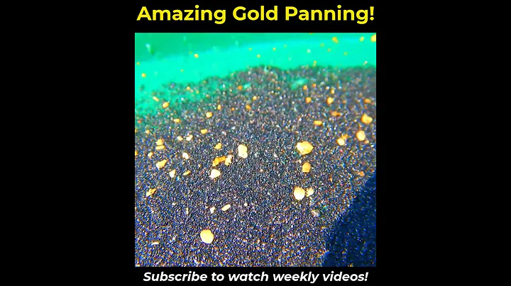 WOW! look at that gold!