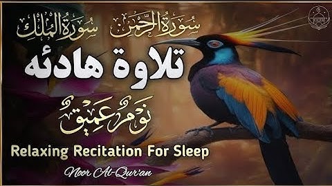 🔴 سورة الرحمن والملك كاملة لنوم هادئ وجميل _ القارئ علاء ياسر 🕛🎧 #قرآن #تلاوات