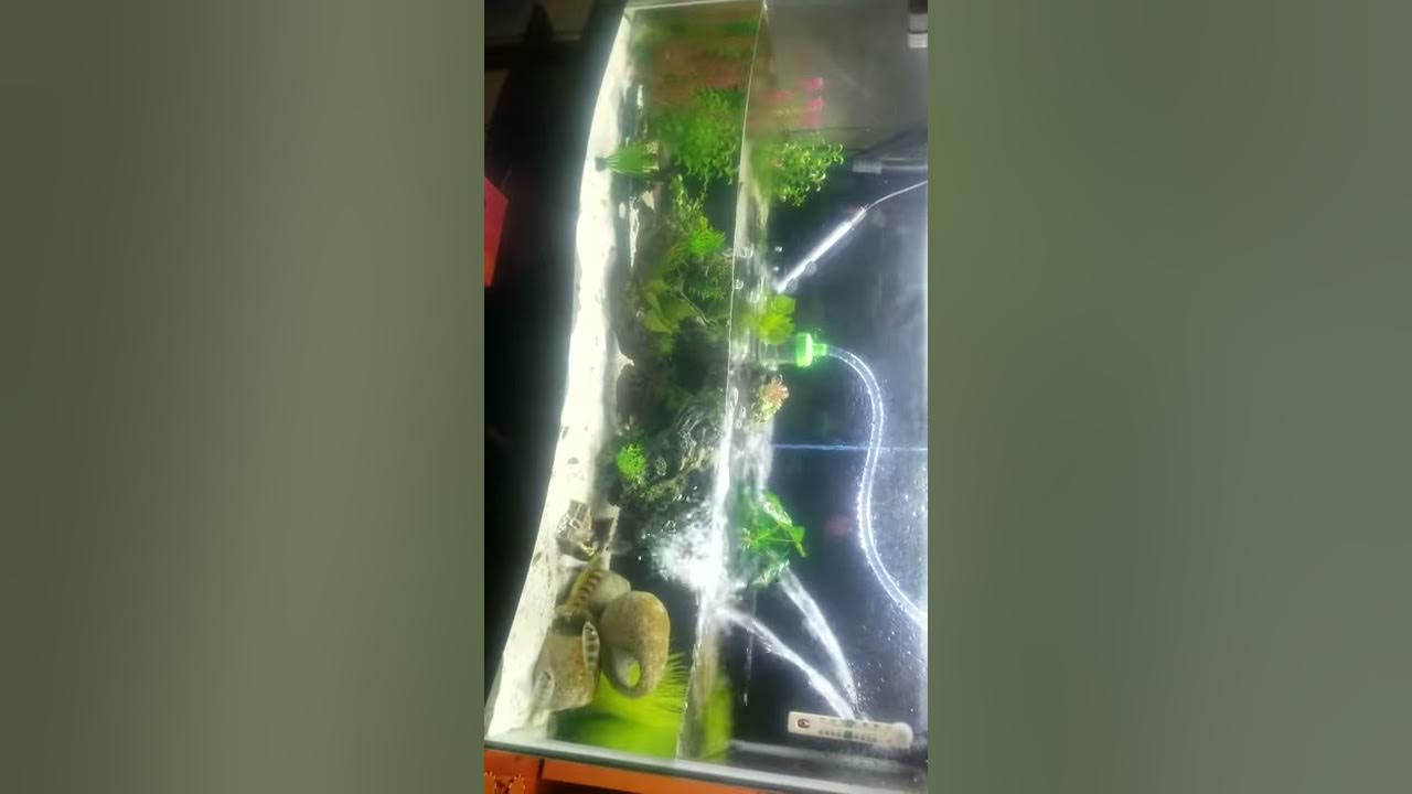 Fluval fx4 output flow - YouTube