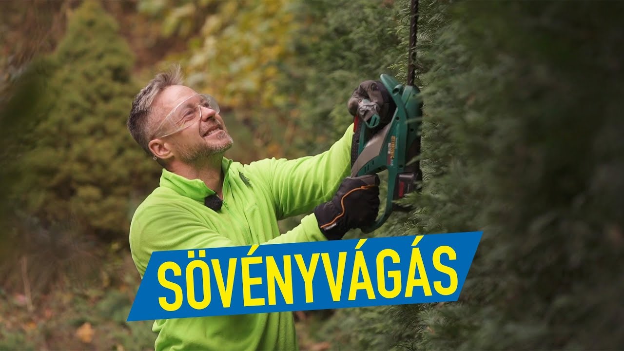 sövényvágás