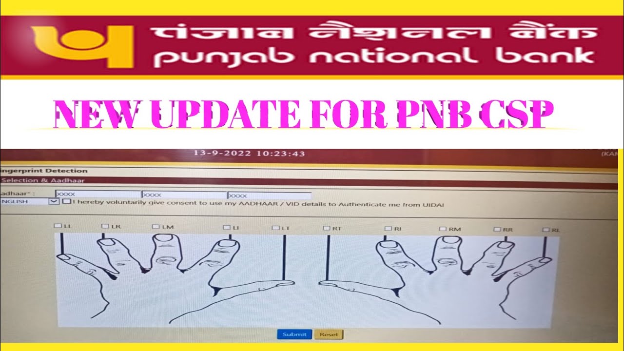 PNB CSP BCA KE LIYE NEW UPDATE 2022 YouTube pnb-csp-bca-ke-liye-new-update-2022-youtube