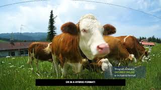 Blue Ridge Ctc Agribusiness Program