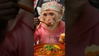 MONO KIBO probando SOPA de CABRA con GARBANZOS 🍲 ASMR Relajante (Sonidos Satisfactorios)