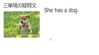 3. 三単現の疑問文（サムネイル画像）