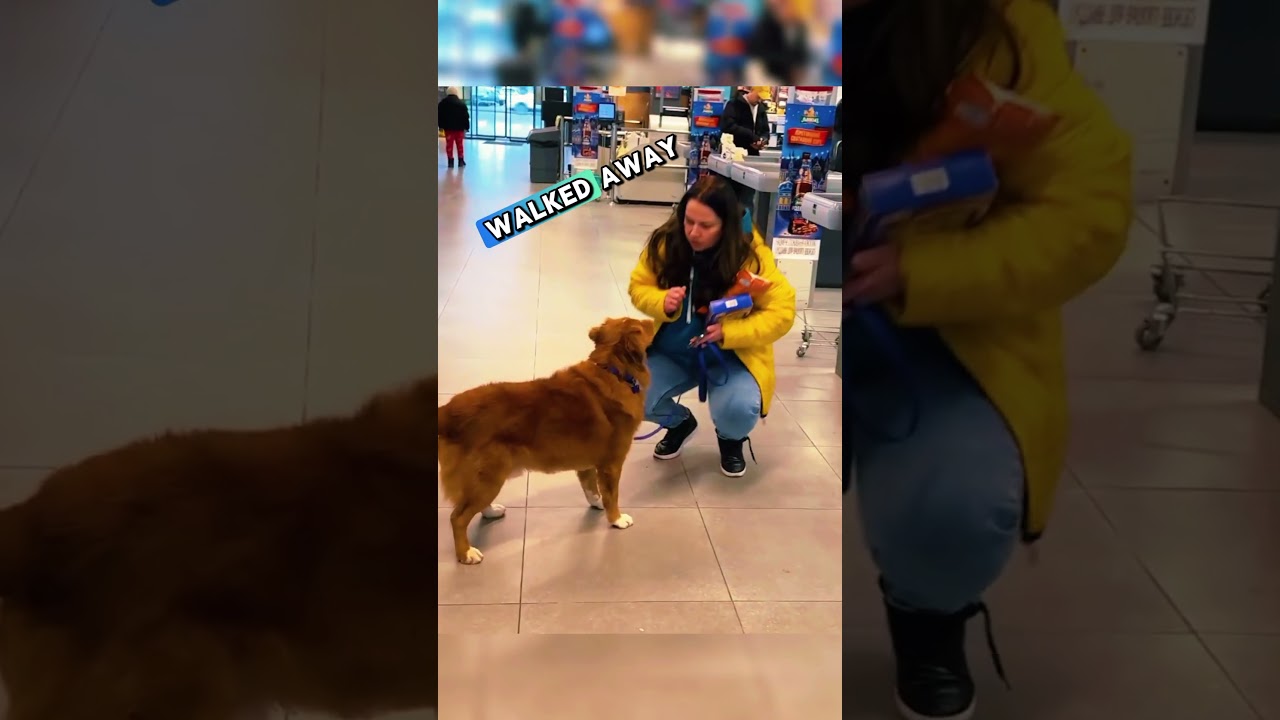 "Shopping Mall Drama: Dog Alerts Owner to Save Girl!" @fabiosa 