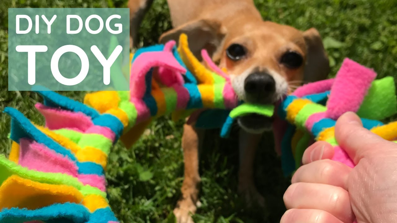 DIY: How to Make an Interactive Dog Toy