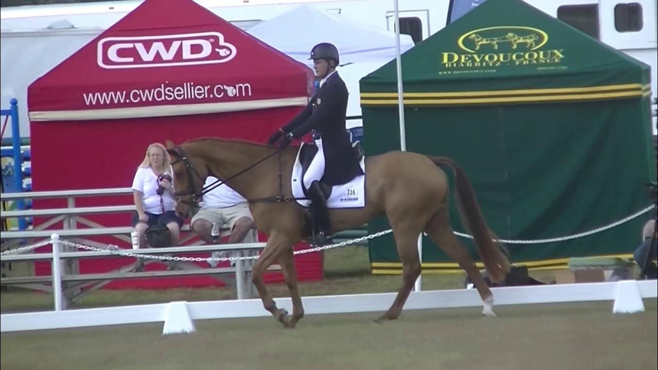 Boyd Martin & Kyra CCI 2 Star Dressage YouTube