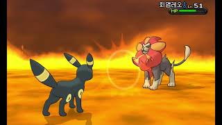Pokémon Y (Korean) - Team Flare Boss Lysandre Battle #3