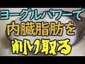 【婚活成功への一里塚】ヨーグルト量産で内臓脂肪を削り取る！