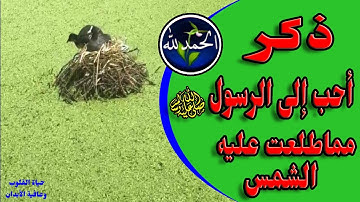 أعظم وأحب الأذكار إلى رسول الله ﷺ وأحب إليه من الدنيا ومافيها ومماطلعت عليه الشمس