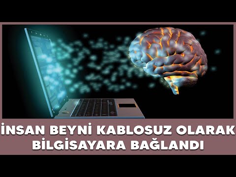 Video: Küresel sözde seçkinlerden 22 şok edici alıntı