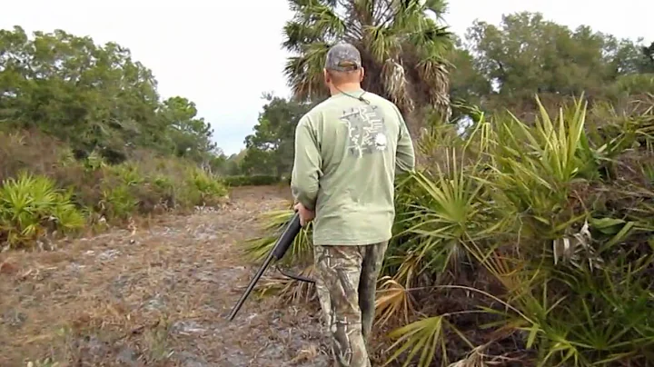 Florida Hog Hunt 2011