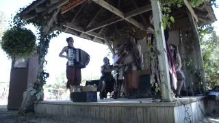 Coal Black Rose TRF 2016