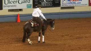 Electric Snow NRHA Futurity Open Final 2014