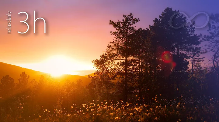 Calm Music - light, peaceful, soothing, background music [N°134 - 3h]