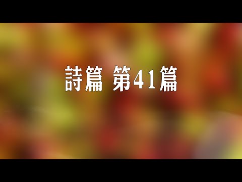 詩篇 第41篇