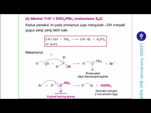 Video: Apa produk organik yang terbentuk dari dehidrasi 3 Methyl 2 Pentanol?