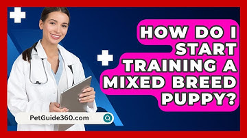 How Do I Start Training A Mixed Breed Puppy? - PetGuide360.com