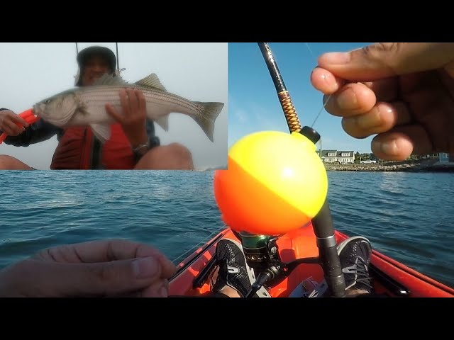 How To Use Bobber Rig To Catch Striped Bass, Kayak Fishing