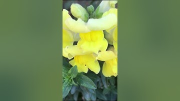 تأملات في سورة الكهف (٥)