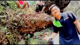 Download Lagu Sayang MP3