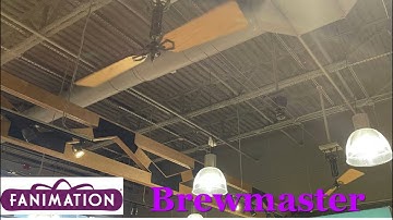 56” Fanimation Brewmaster ceiling fan