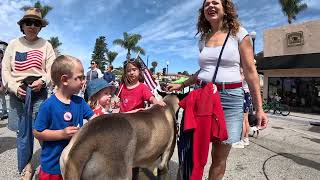 Great Dane Oliver at the Ventura 4th of July Street Fair 2026 (2 of 14)