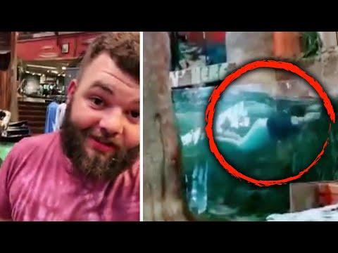 Man Jumps in Bass Pro Shop Fish Tank for TikTok Followers