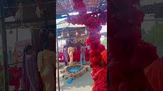 Swayambhu vijaya durga ammavaru 🙏#vijayadurga #devotional #trending