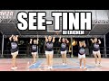 SEE TINH | DJ Ericnem Remix | Tiktok Viral | Dance Workout | Danza Carol