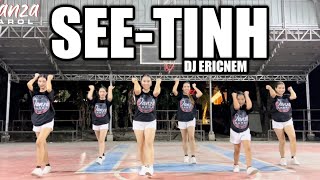 SEE TINH | DJ Ericnem Remix | Tiktok Viral | Dance Workout | Danza Carol