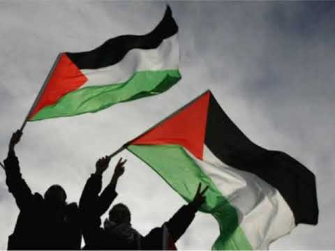 Bebas Palestin Rabbani Inteam Nowseeheart Dan Saujana 
