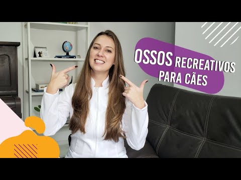 Vídeo: Ossos Crus E Saúde Bucal Para Animais De Estimação - Os Ossos Crus São Bons Para Animais De Estimação?