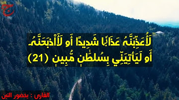 آيات من سورة النمل بصوت الأخ القارئ : يخضور التين 🎙️