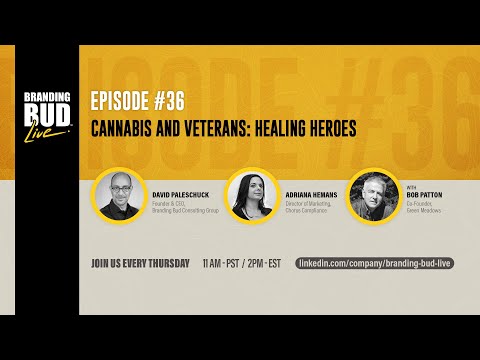 Cannabis & Veterans: Healing Heroes