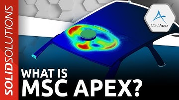 What is MSC Apex?