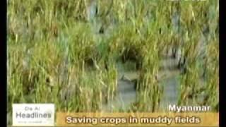 081031 Rains in Myanmar worries farmers & Tzu Chi volunteers