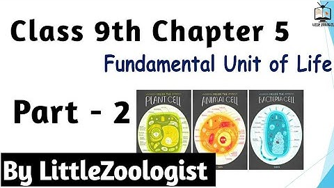 CLASS-9 SCIENCE | CHAPTER-5 |FUNDAMENTAL UNIT OF LIFE : CELL | PART-2 |