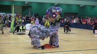 Publication Date: 2025-12-20 | Video Title: 【全港公開龍獅藝錦標賽2025】 道教青松小學國術龍獅隊A 