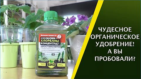 СУСПЕНЗИЯ ХЛОРЕЛЛЫ! КАК И ГДЕ ПРИМЕНЯТЬ, ЧТОБЫ ПОЛУЧИТЬ МАКСИМАЛЬНЫЙ ЭФФЕКТ!